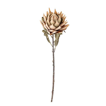 Protea Stilk, Natur, Kunstige Blomster - Bloomingville