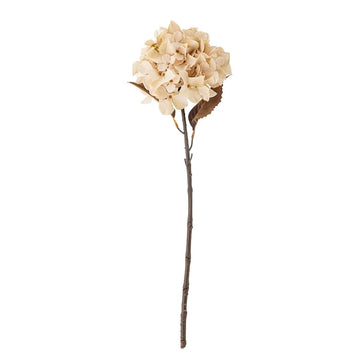 Hydrangea Stilk, Natur, Kunstige Blomster - Bloomingville