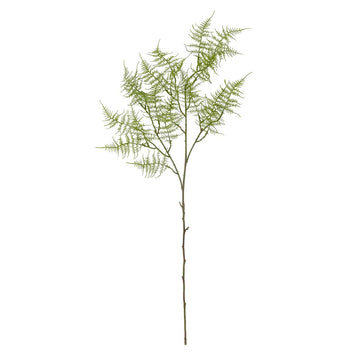 Fern Stilk, Grøn, Kunstige Blomster - Bloomingville