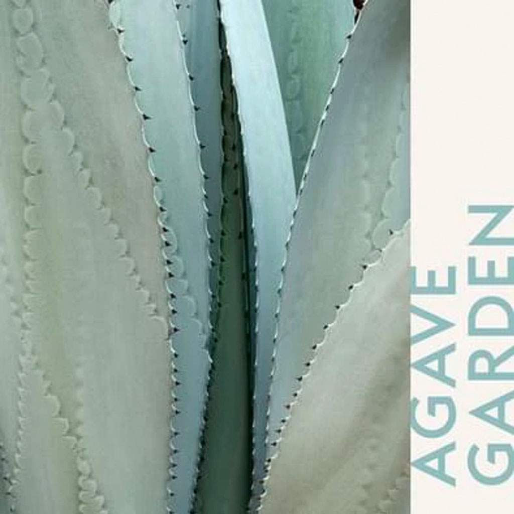 Agaves Garden - Lampe Refill - Maison Berger