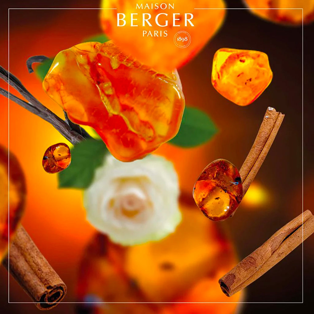 Amber Powder - Lampe Refill - Maison Berger