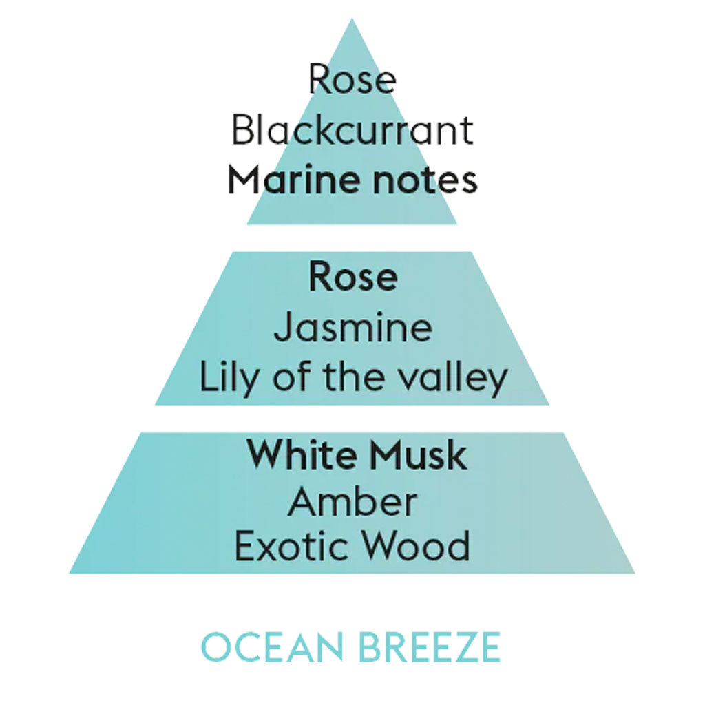 Ocean Breeze - Cube Flakon Med Duftpinde - Maison Berger