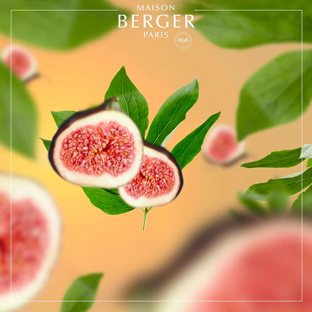 Under the Fig Tree - Cube flakon med duftpinde - Maison Berger