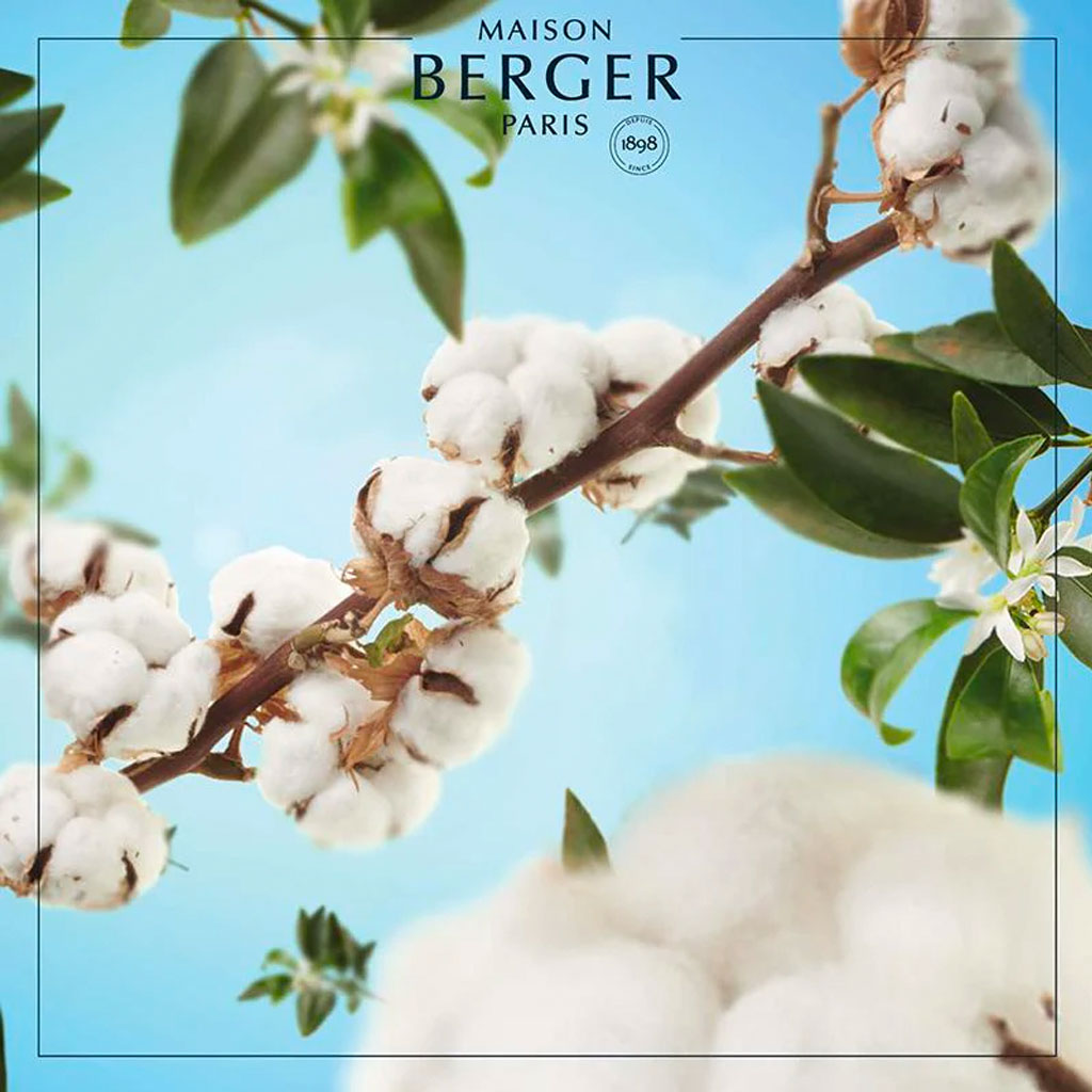 Cotton Caress - Duftpinde Refill - Maison Berger