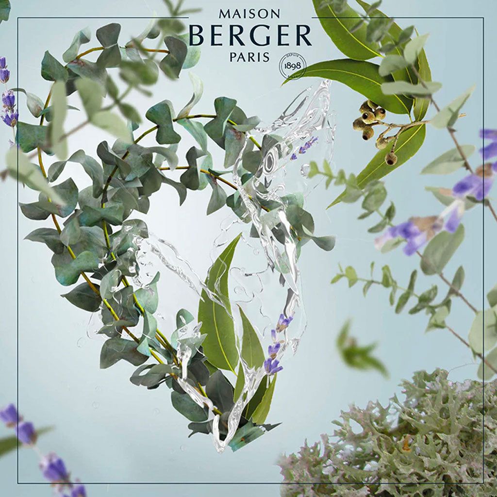 Fresh Eucalyptus - Lampe Refill - Maison Berger