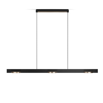 INLAY Pendel S1250 Linear Disc SWI - Matt Black / Satin Gold - Light Point / Studio F. A. Porsche