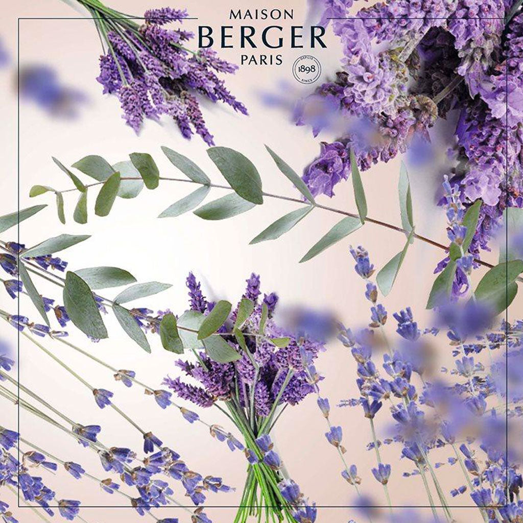 Lavender Fields - Duftpinde Refill - Maison Berger