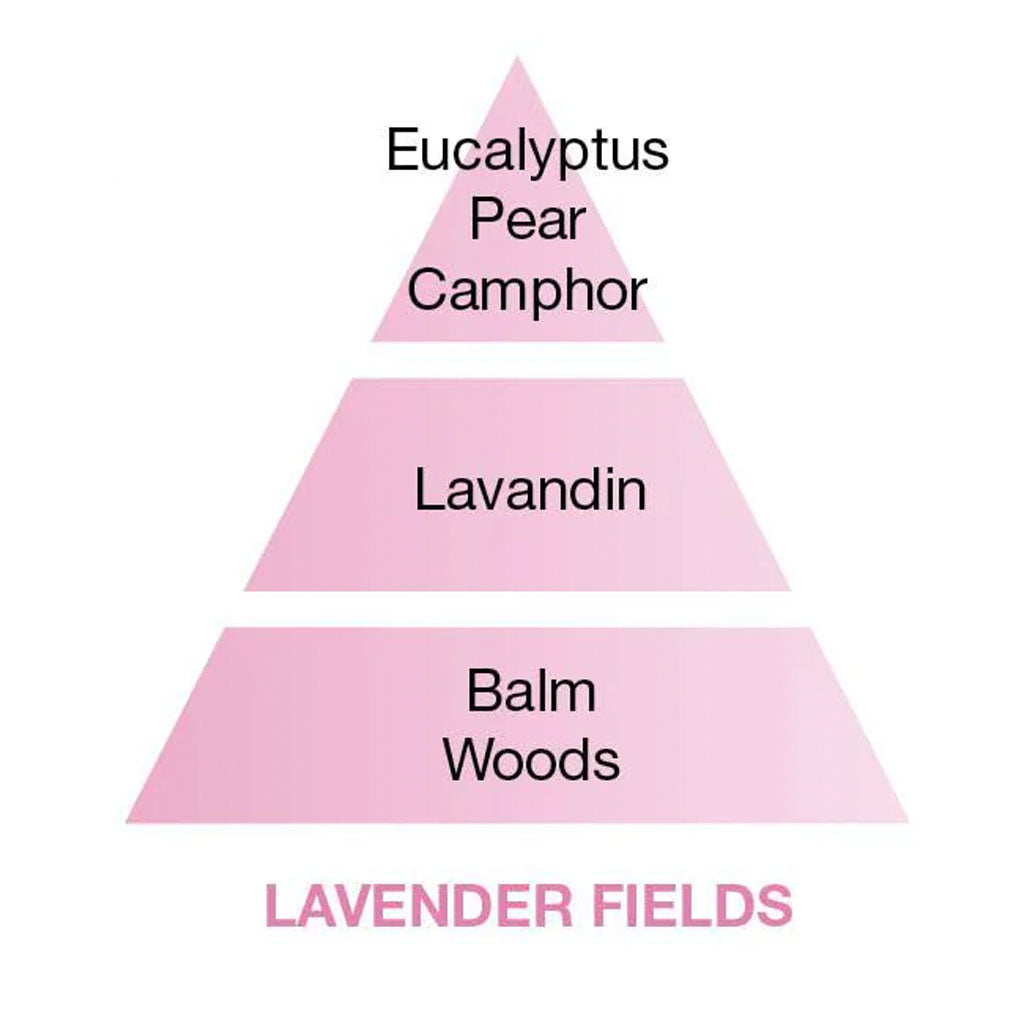 Lavender Fields - Duftpinde Refill - Maison Berger