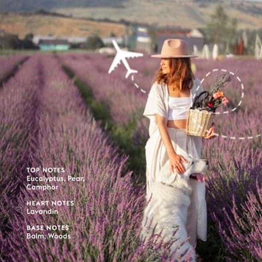 Lavender Fields - Lampe Refill - Maison Berger