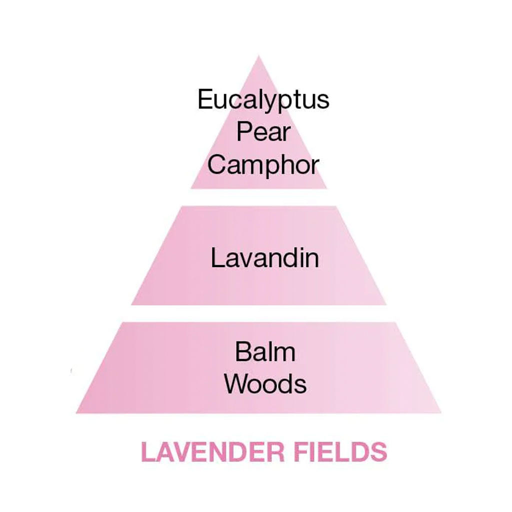 Lavender Fields - Lampe Refill - Maison Berger