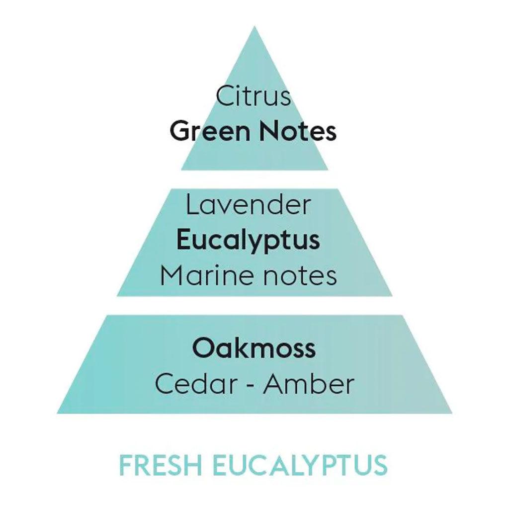 Fresh Eucalyptus - Cube flakon med duftpinde - Maison Berger