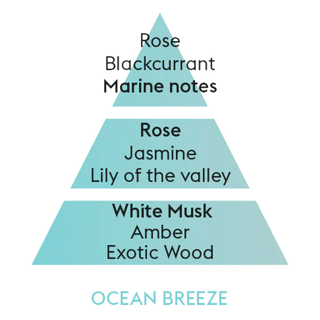 Ocean Breeze - Lampe Refill - Maison Berger