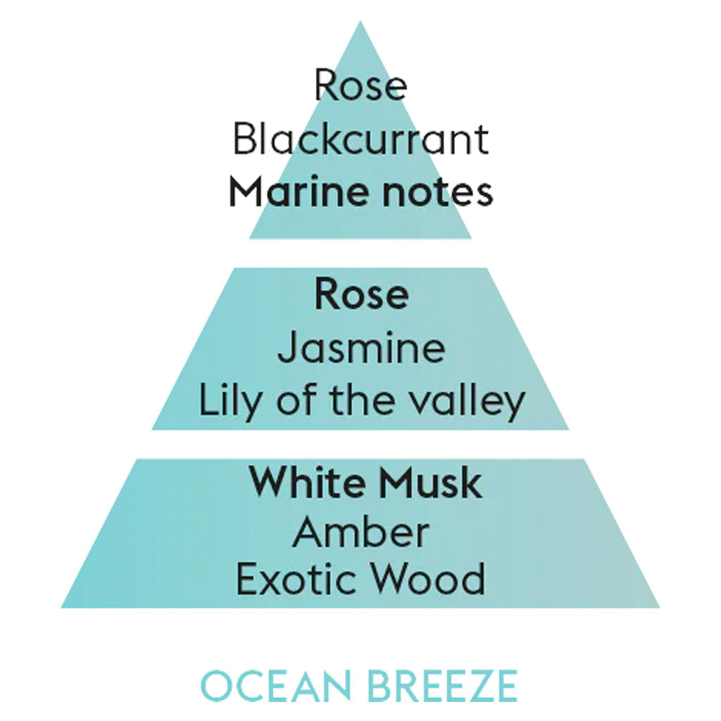 Ocean Breeze - Bil Refill - Maison Berger