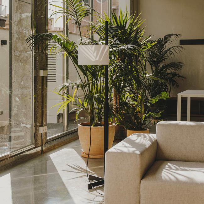 TMM Gulvlampe Sort Eg/Hvid skærm - Santa & Cole