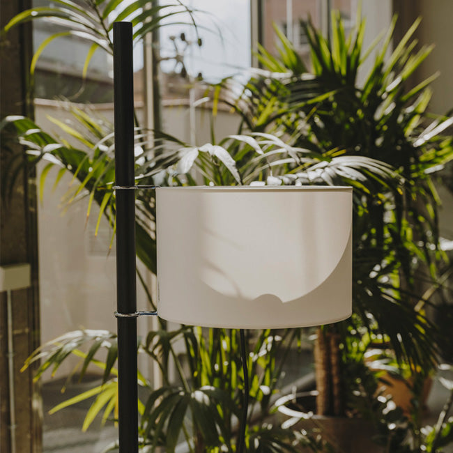 TMM Gulvlampe Sort Eg/Hvid skærm - Santa & Cole