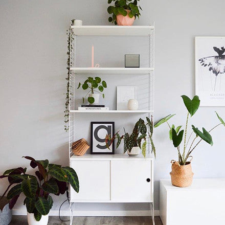 String System 20 - String