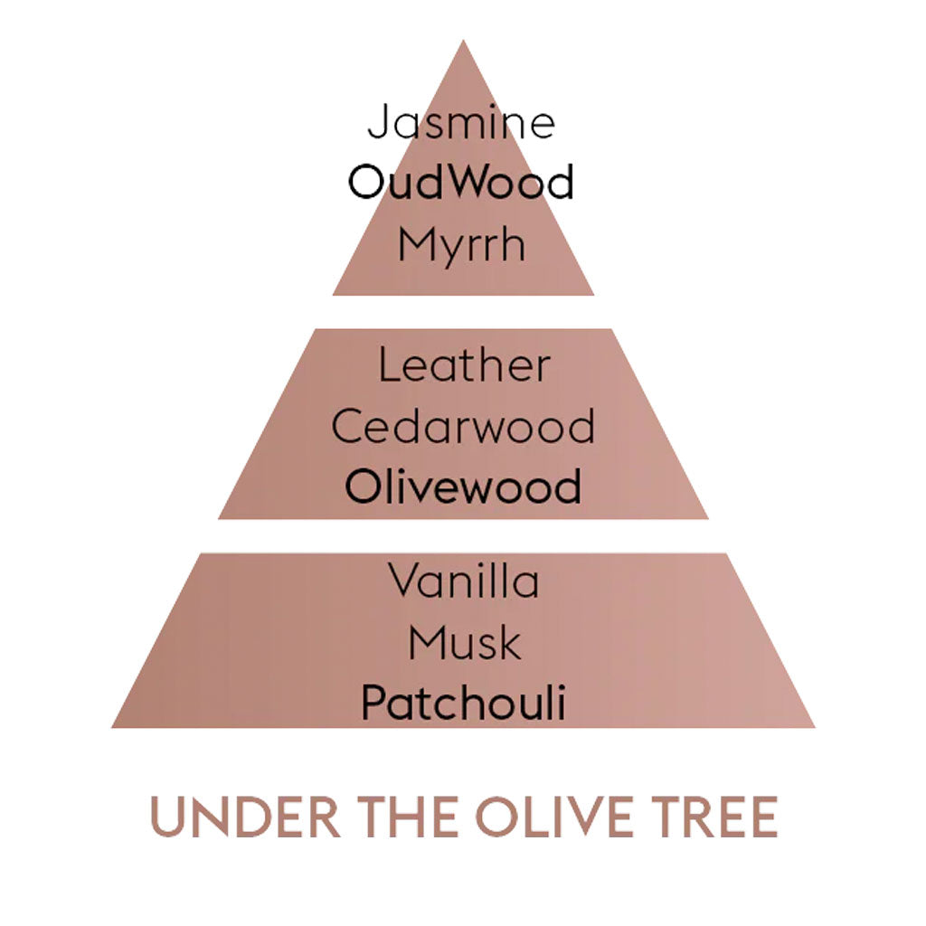 Under the Olive Tree - Lampe Refill - Maison Berger