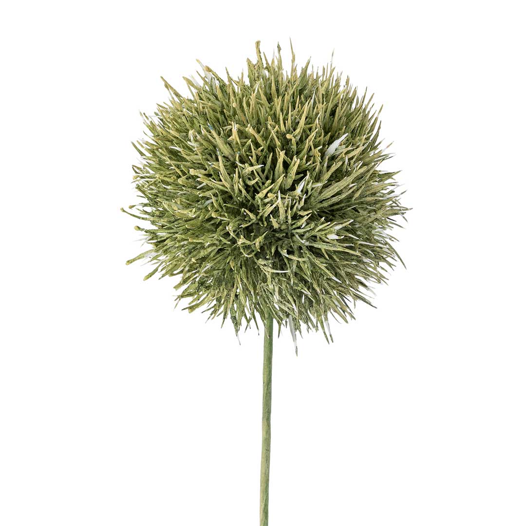 Allium Stilk, Grøn, Kunstige Blomster - Bloomingville