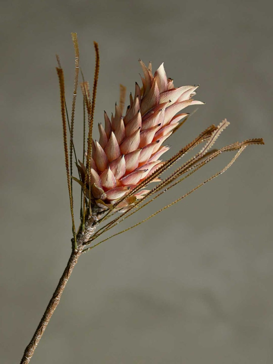 Palmflower Stilk, Rosa, Kunstige Blomster - Bloomingville
