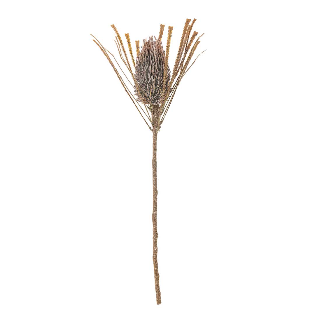 Palmflower Stilk, Brun, Kunstige Blomster - Bloomingville
