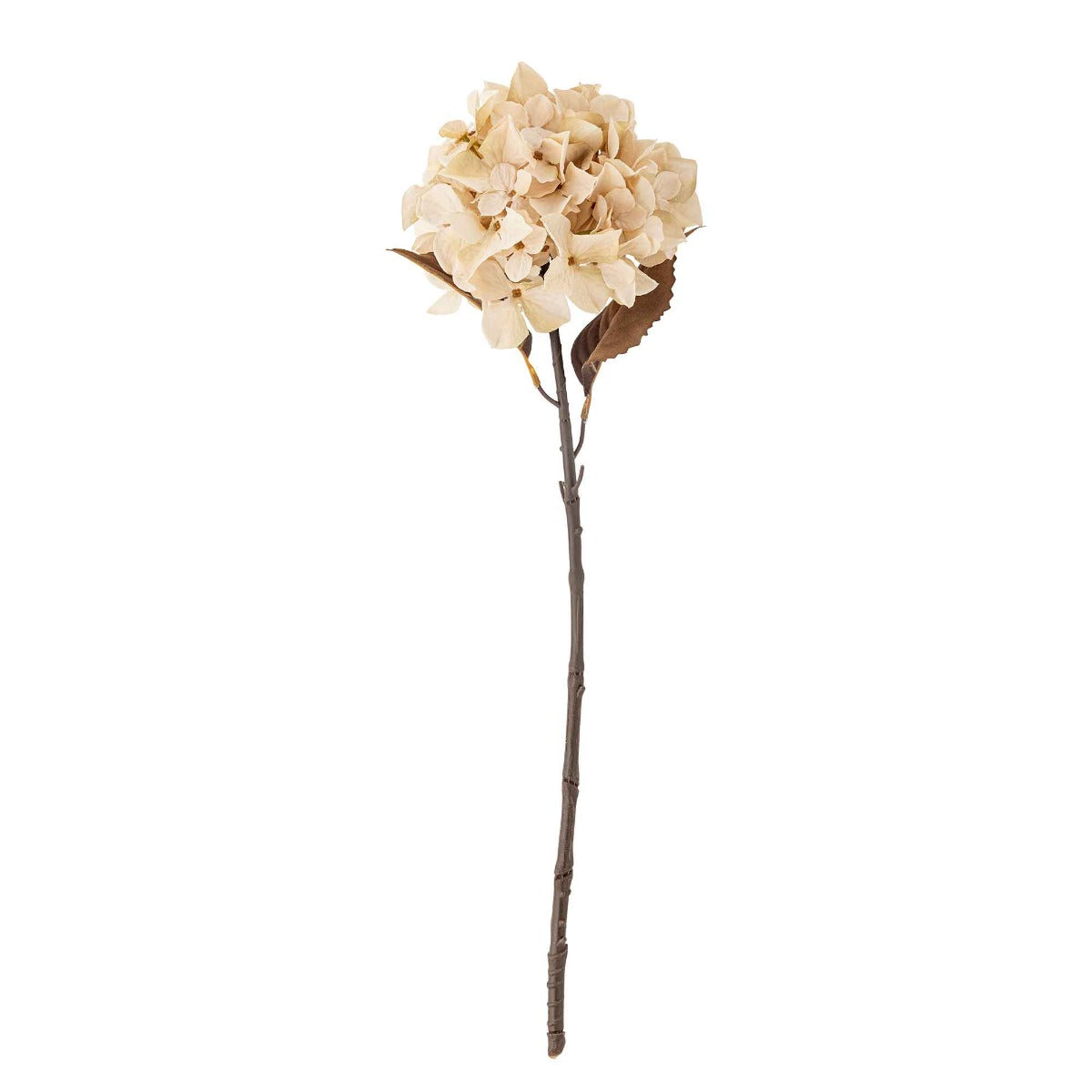 Hydrangea Stilk, Natur, Kunstige Blomster - Bloomingville
