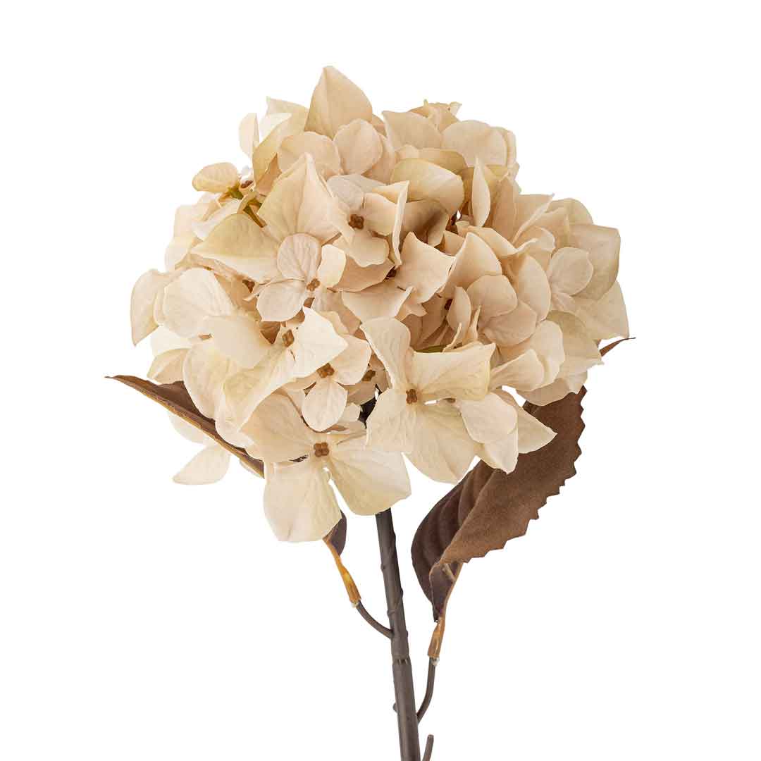 Hydrangea Stilk, Natur, Kunstige Blomster - Bloomingville