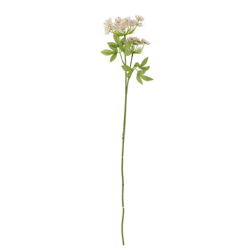 Fennel Stilk, Rosa, Kunstige Blomster - Bloomingville