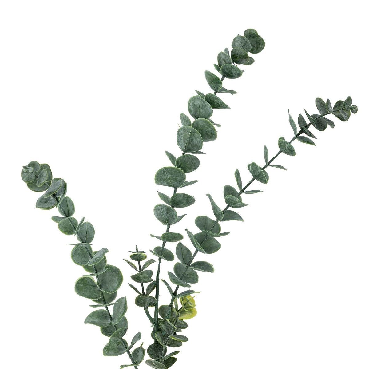 Eucalyptus Stilk, Grøn, Kunstige Blomster - Bloomingville