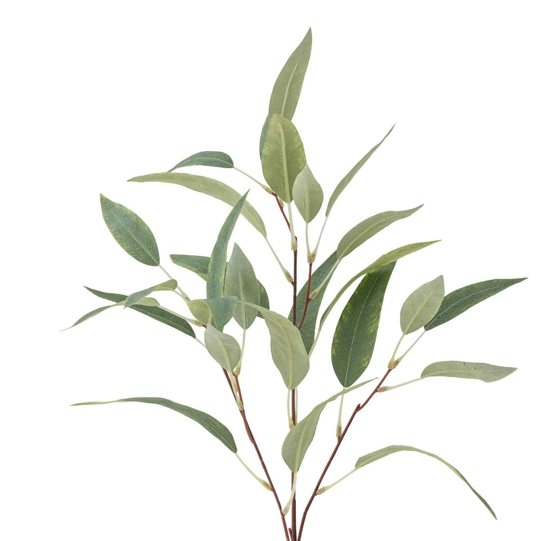 Eucalyptus Stilk, Grøn, Kunstige Blomster - Bloomingville
