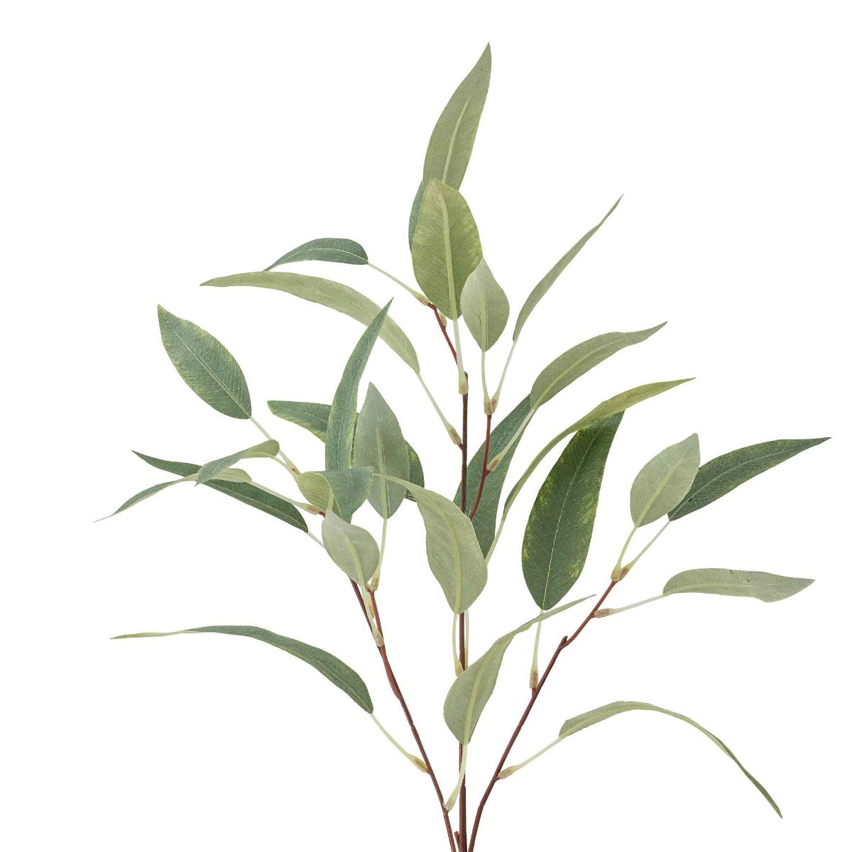 Eucalyptus Stilk, Grøn, Kunstige Blomster - Bloomingville