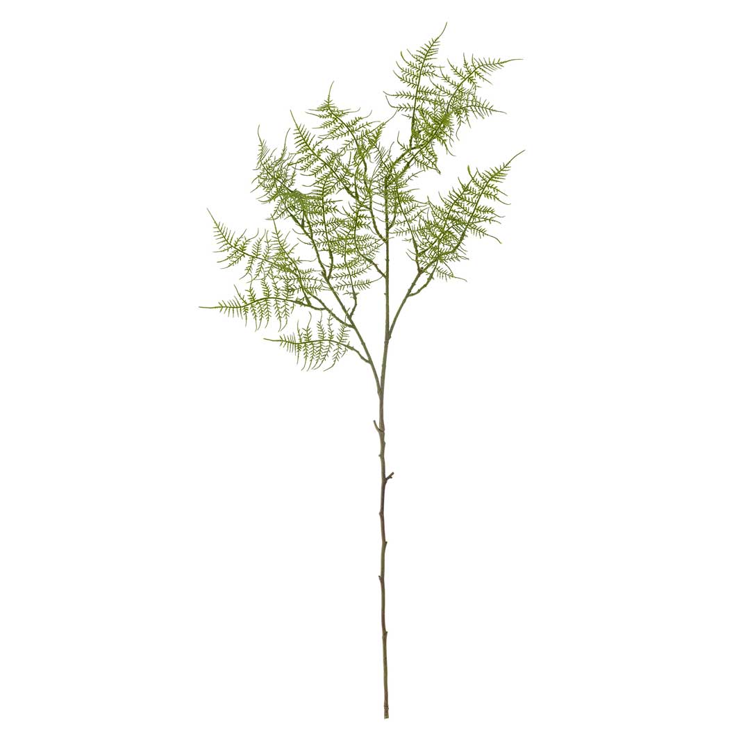 Fern Stilk, Grøn, Kunstige Blomster - Bloomingville