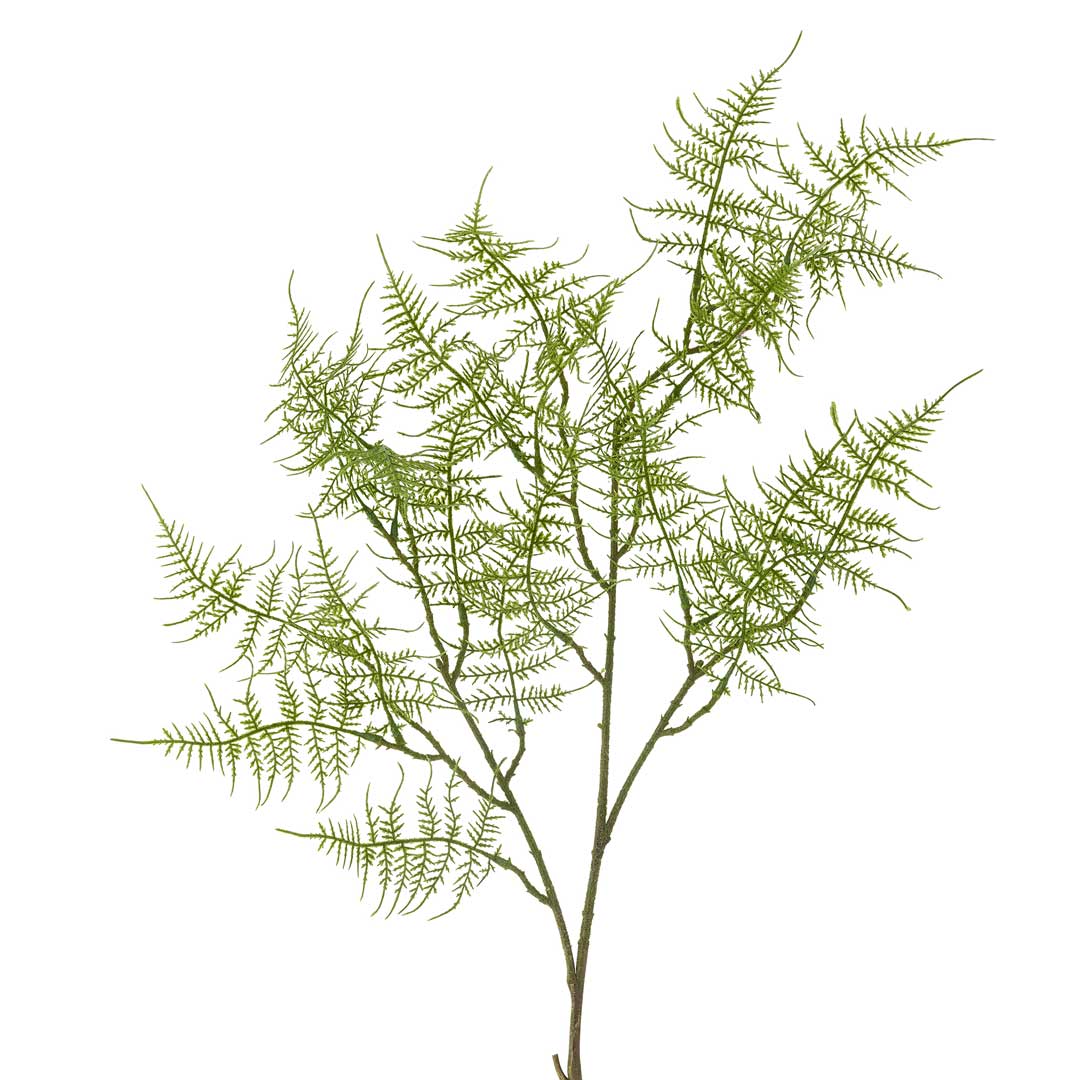 Fern Stilk, Grøn, Kunstige Blomster - Bloomingville