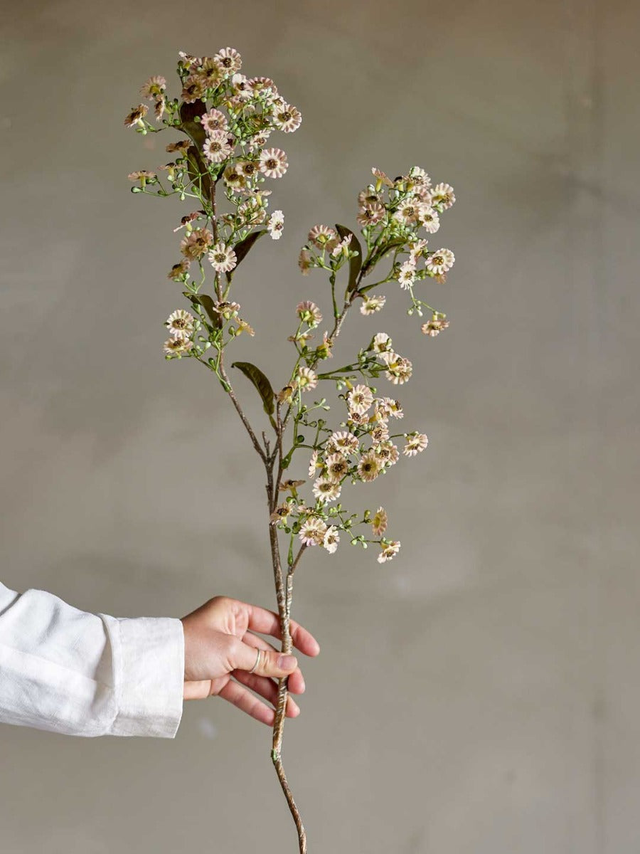 Waxflower Stilk, Hvid, Kunstige Blomster - Bloomingville