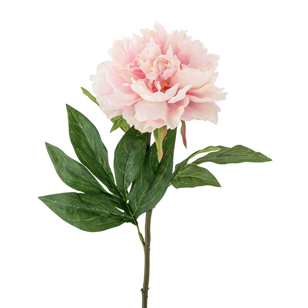 Peony Stilk, Rosa, Kunstige Blomster - Bloomingville