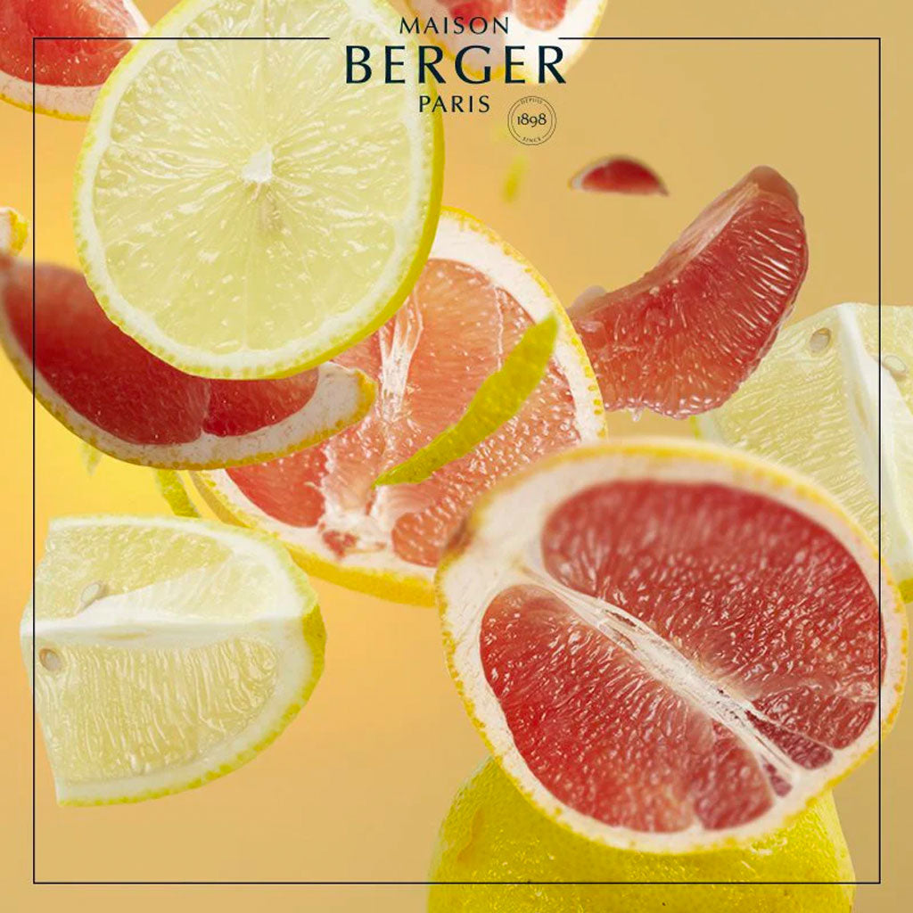 Aroma Energy - Bil Refill - Maison Berger