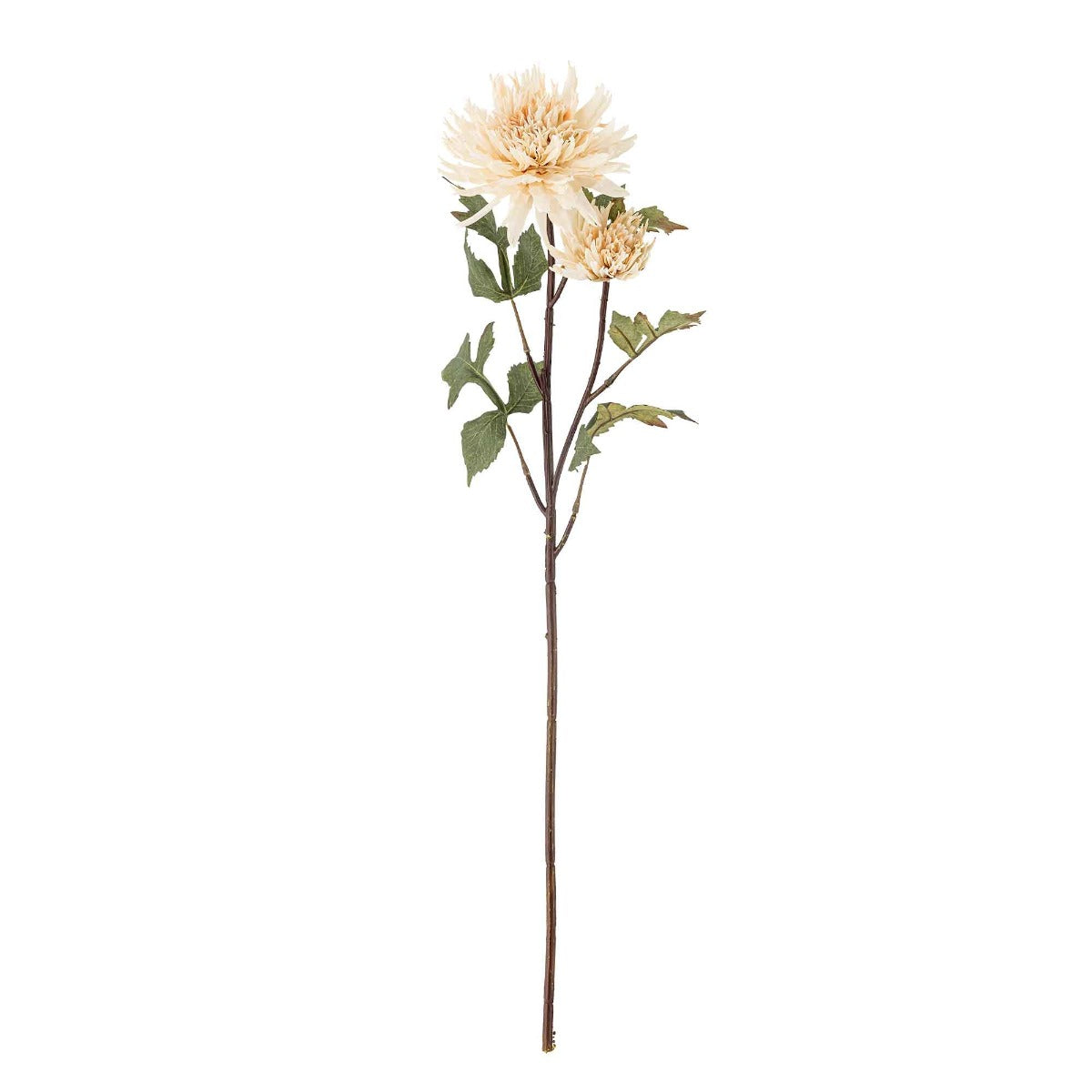 Chrysantemum Stilk, Natur, Kunstige Blomster - Bloomingville
