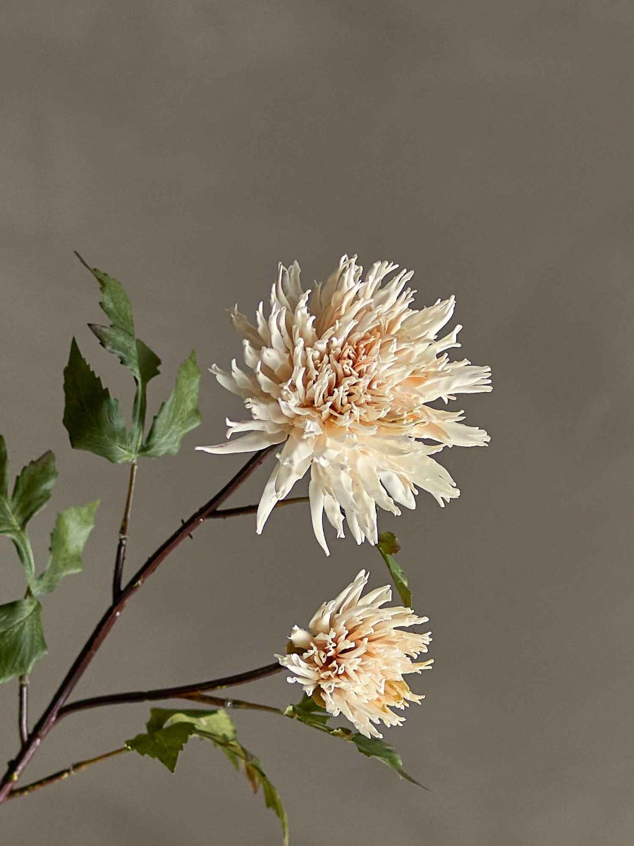 Chrysantemum Stilk, Natur, Kunstige Blomster - Bloomingville