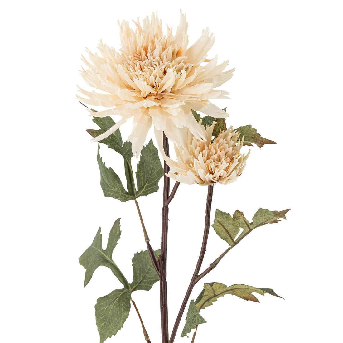 Chrysantemum Stilk, Natur, Kunstige Blomster - Bloomingville