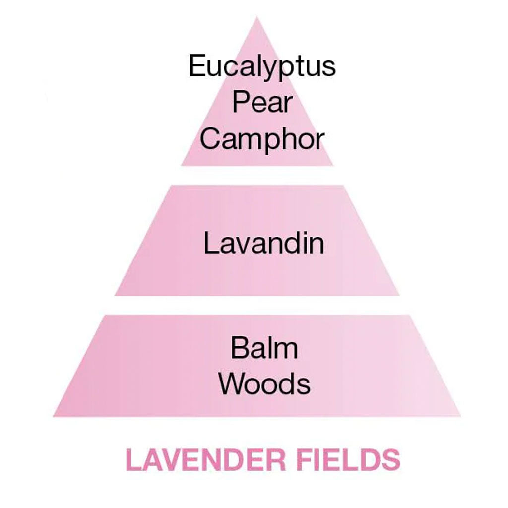 Lavender Fields - Cube Flakon Med Duftpinde - Maison Berger
