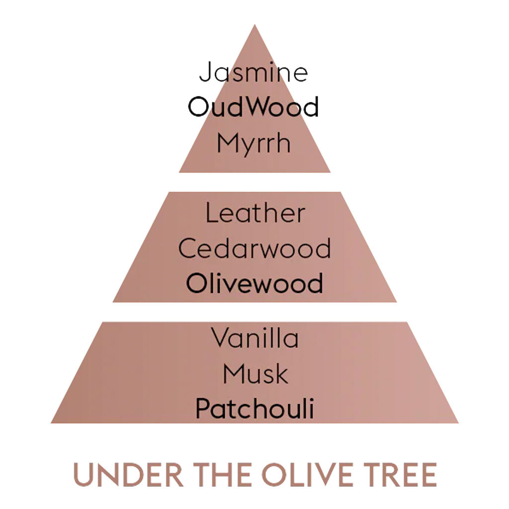 Under the Olive Tree - Cube Flakon Med Duftpinde - Maison Berger