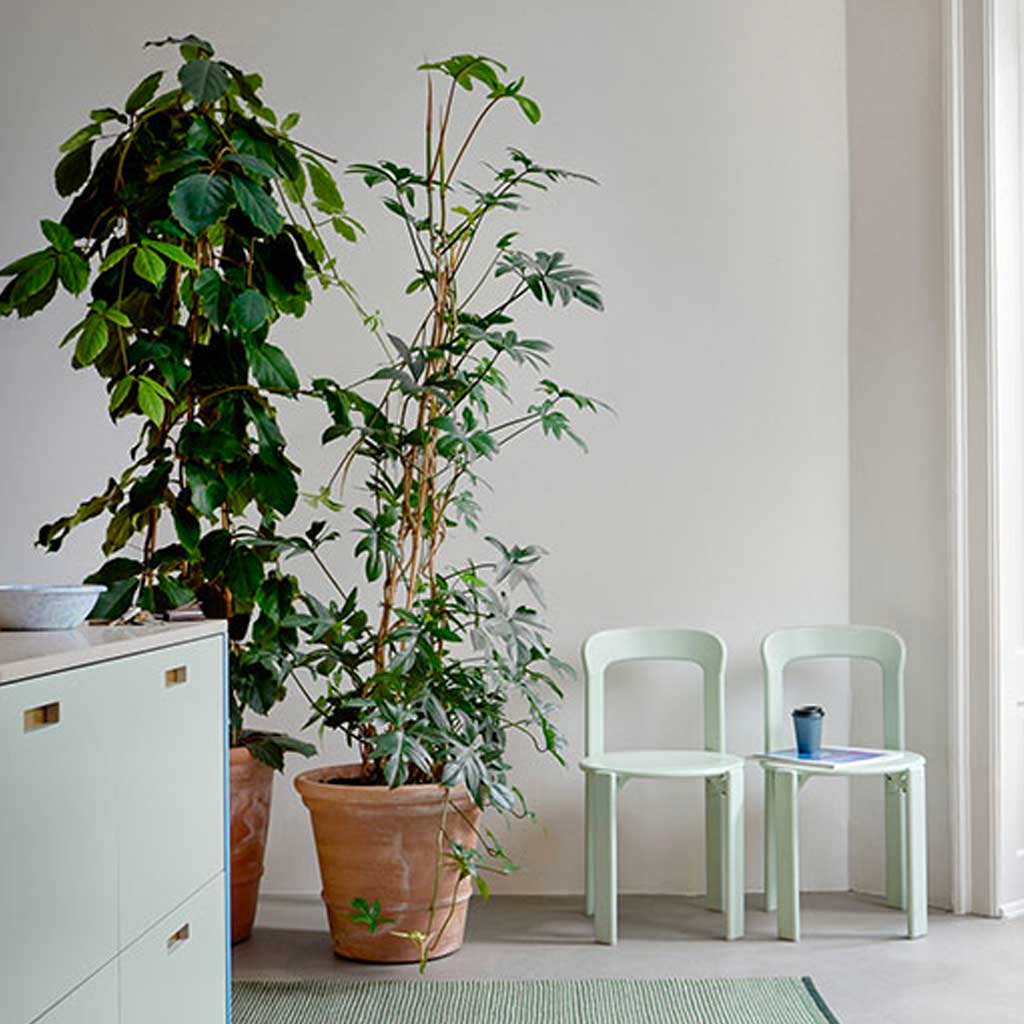 Daisy Gulvtæppe - Fabula Living