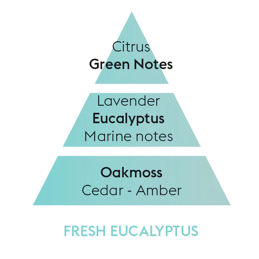 Fresh Eucalyptus - Lampe Refill - Maison Berger