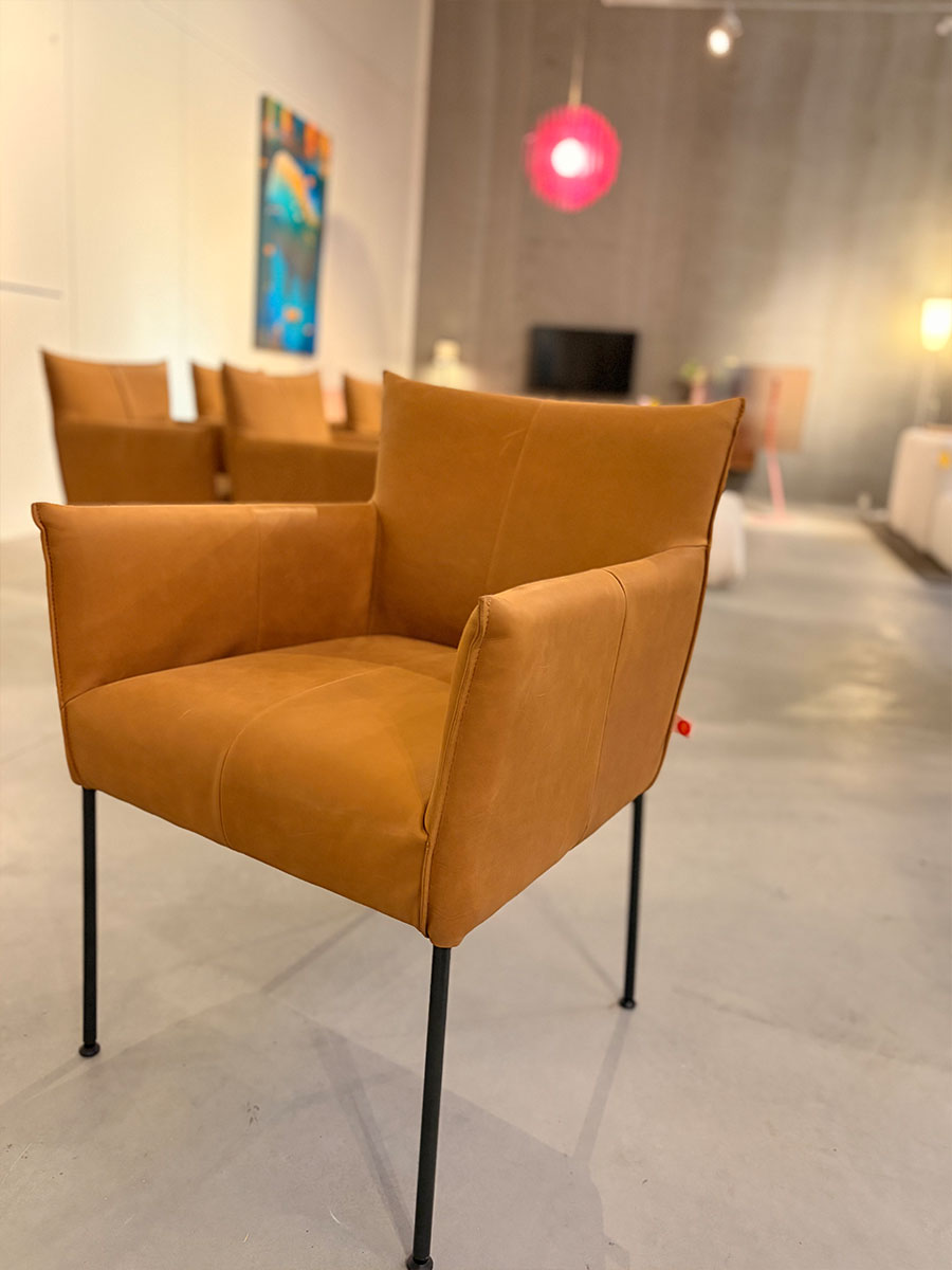 Forward Amchair spisebordsstol - Jess - 6 stk (UDSTILLINGSMODEL)