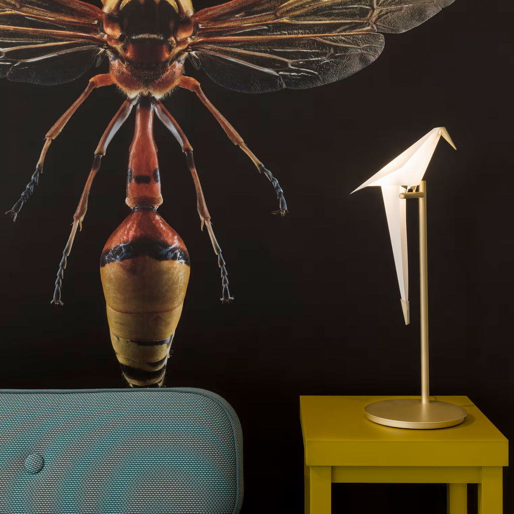 Perch Light bordlampe - Moooi