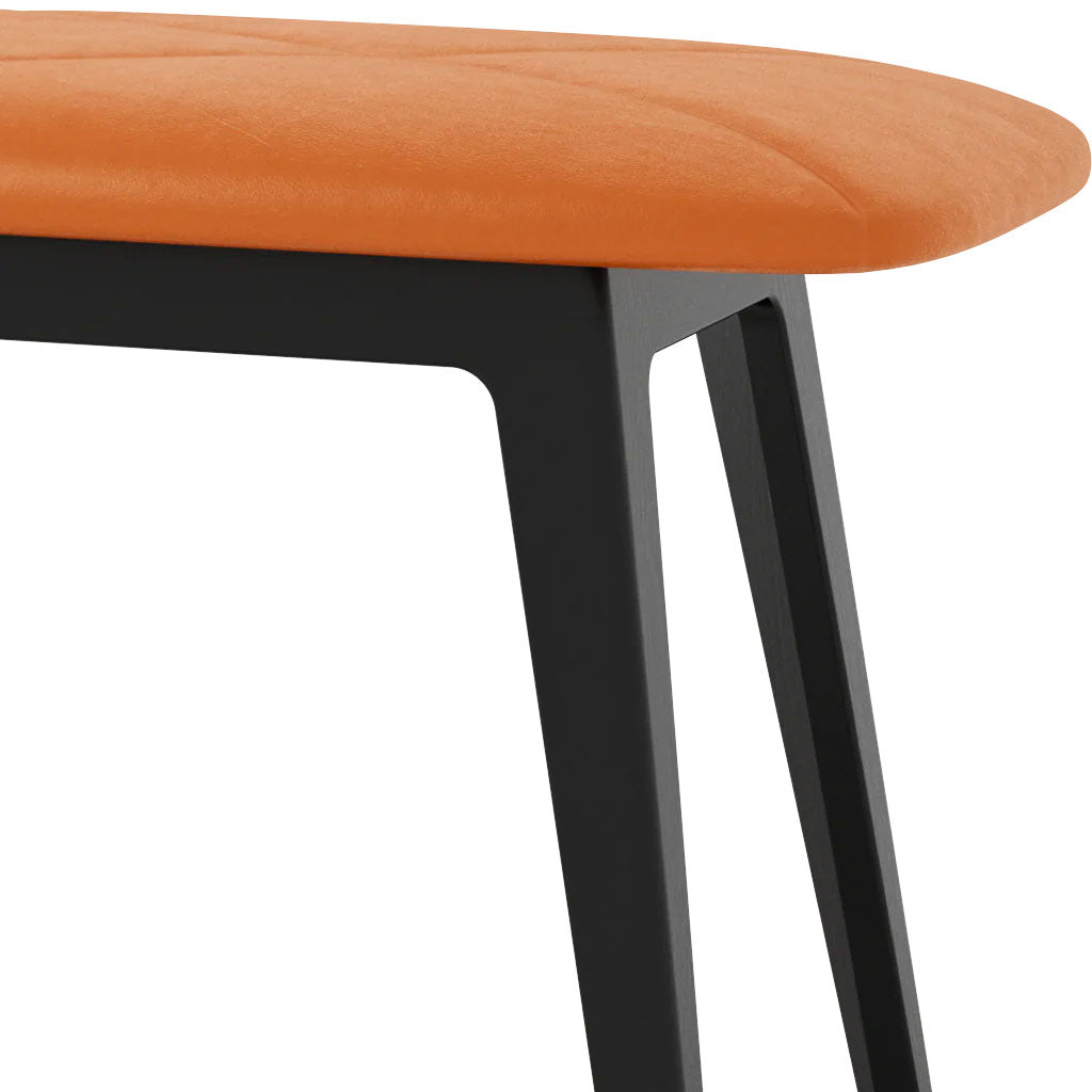 Nordic Bænk - Bøg Sort lak - Terra Safari - SACKit