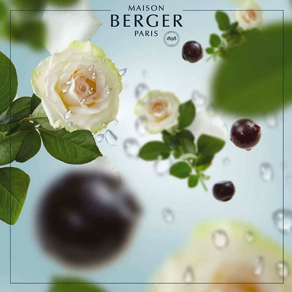 Ocean Breeze - Bil Refill - Maison Berger