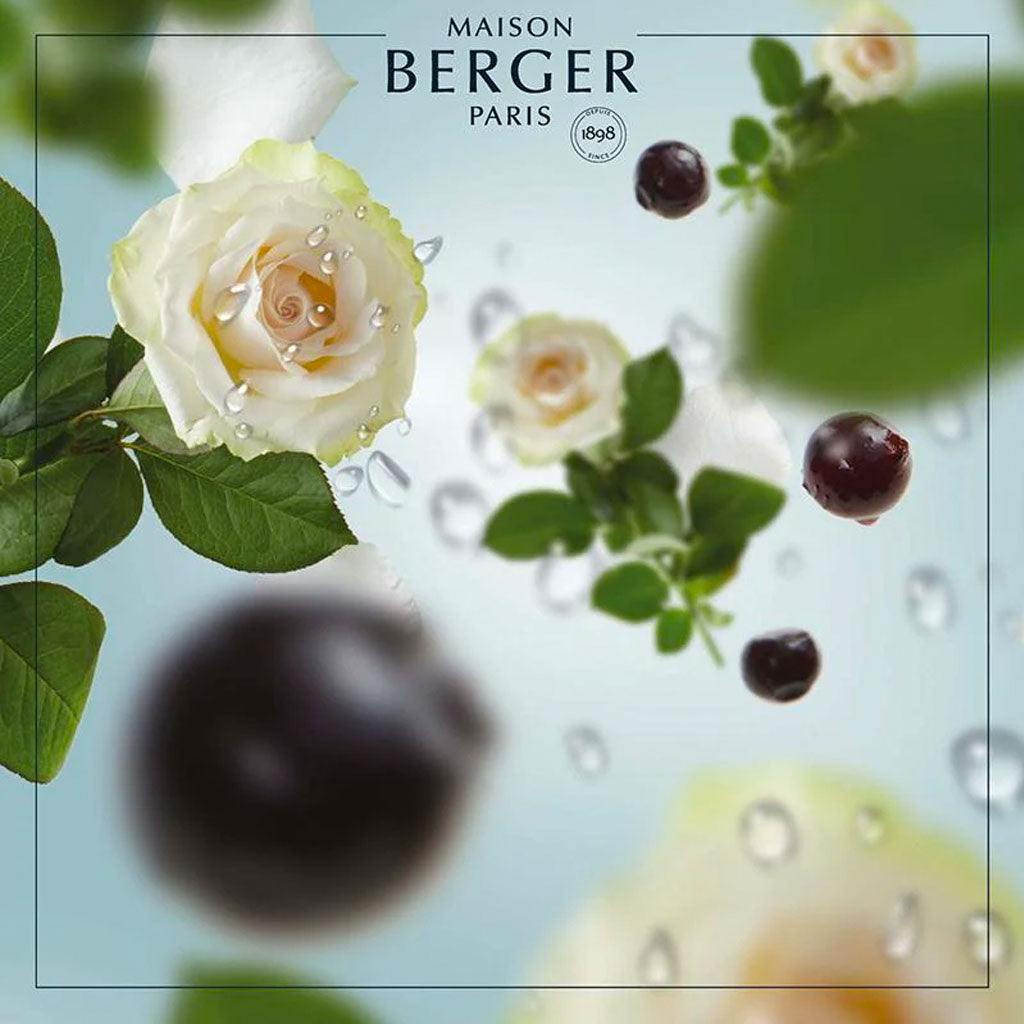 Ocean Breeze - Duftpinde Refill - Maison Berger