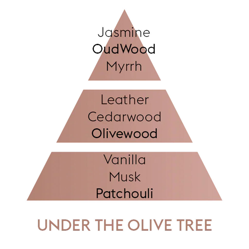 Under the Olive Tree - Duftpinde Refill - Maison Berger